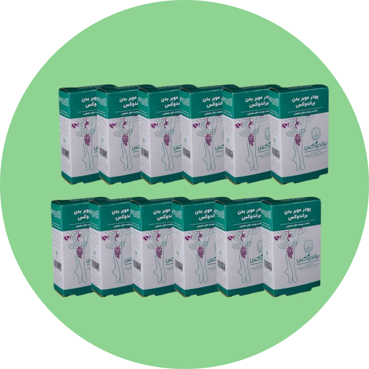 پودر موبر براندوکس مدل Mentha piperita وزن50 گرم مجموعه 12 عددی